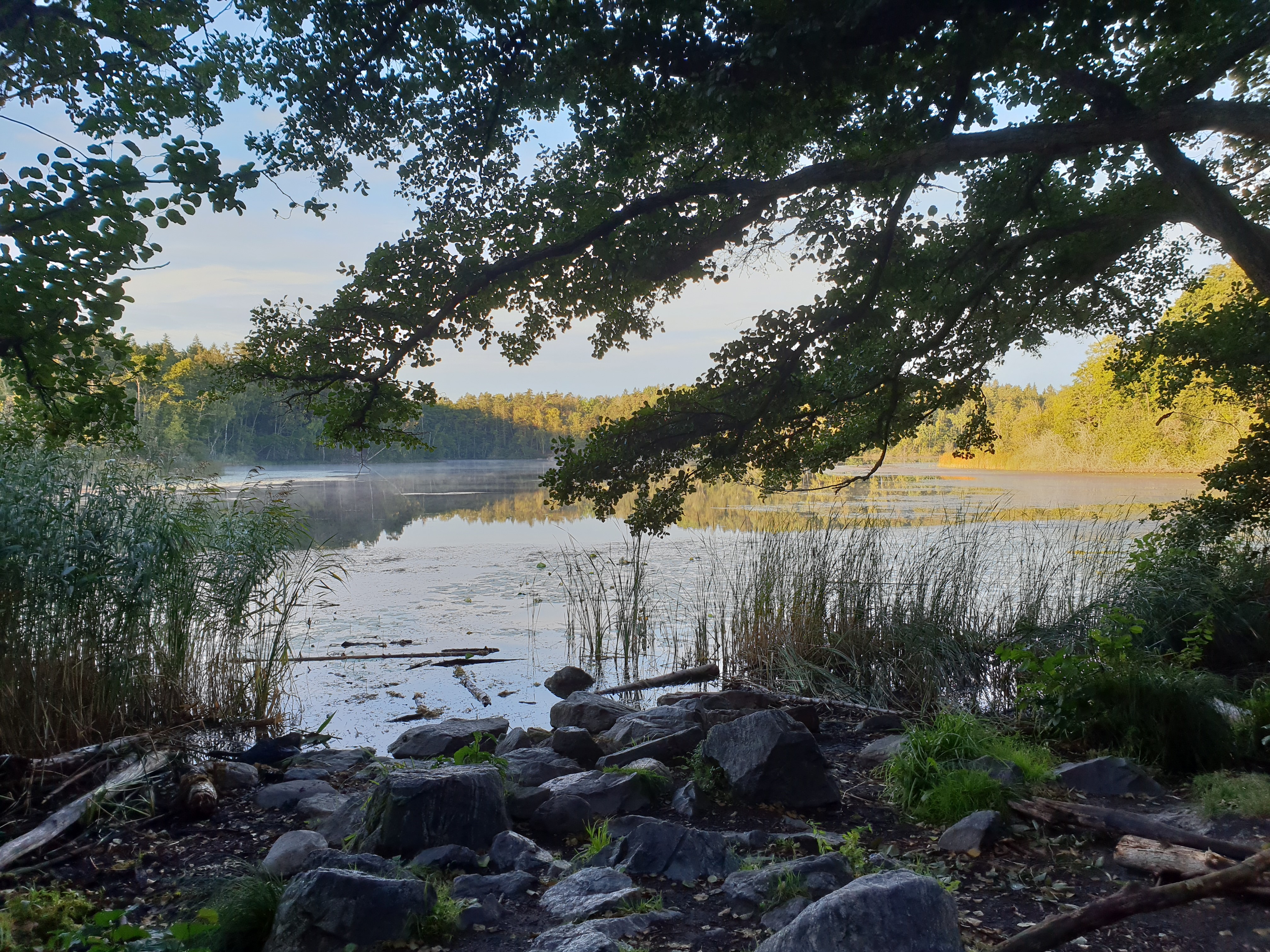 Lake Judarn in Judarskogen nature reserve